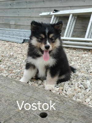 VOSTOK