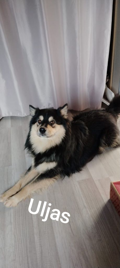Uljas Opaali Hiekka
